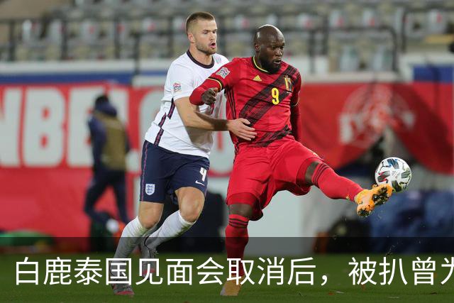 白鹿泰国见面会取消后，被扒曾为缅北拍宣传片，知情人爆更多内幕