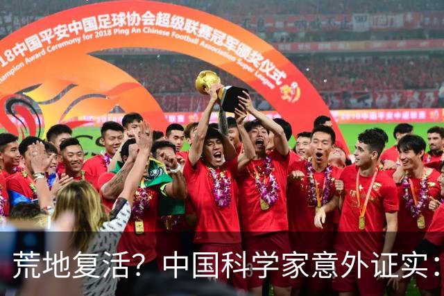 荒地复活？中国科学家意外证实：铺光伏板，竟然沙漠长出了草